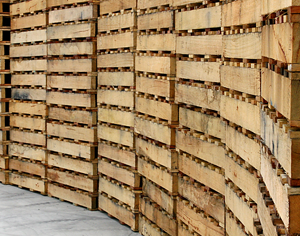 Export Pallets